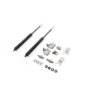 Tailgate Strut Kit photo 4