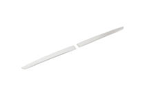 Honda Accord X 2017-2022 Chrome trim above license plate (2020-2022, stainless steel) photo 1