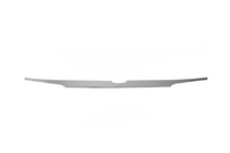 Honda City 2021- Chrome trim above license plate SD (3 pcs, stainless steel) photo 5