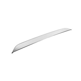 Chrome trim above license plate (stainless steel) photo 4