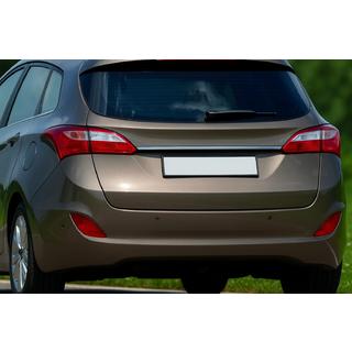 Chrome trim above license plate (SW, stainless steel)