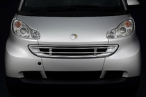 Smart 2007-2014 Front grille guard photo 1