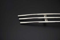Smart 2007-2014 Front grille guard photo 3