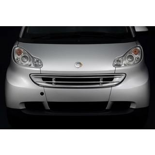 Front grille guard photo 1