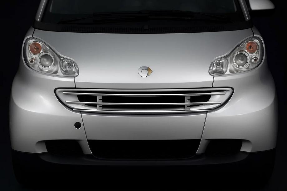 Smart 2007-2014 Front grille guard Image
