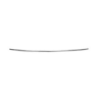 Front bumper trim (stainless steel) photo 2