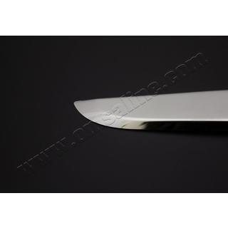 Stainless Steel Rear Pillar Covers (2 pcs) photo 4