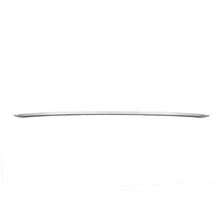 Chrome trim above license plate (SW, stainless steel) photo 2