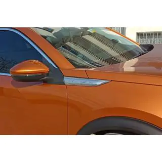 Stainless Steel Fender Trim (2 pcs)