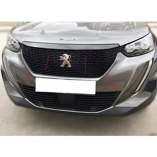 Grille Surround Trim (3 pcs, Stainless Steel) photo 1