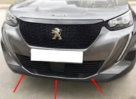 Peugeot 2008 2019- Front bumper protector trim (1 pc, stainless steel) photo 1