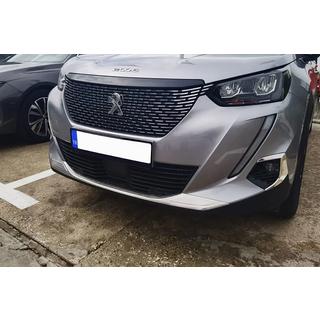 Front bumper protector cover (2 pcs, stainless steel)