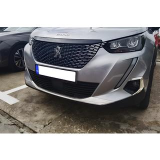 Fog light cover trim (2 pcs, stainless steel)