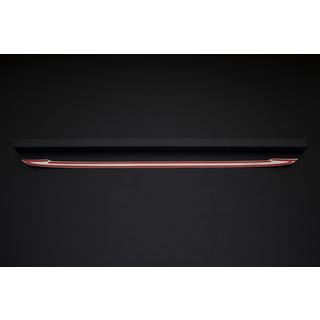 Chrome trim above license plate (stainless steel) photo 4