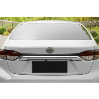 Chrome trim above license plate (stainless steel) photo 1