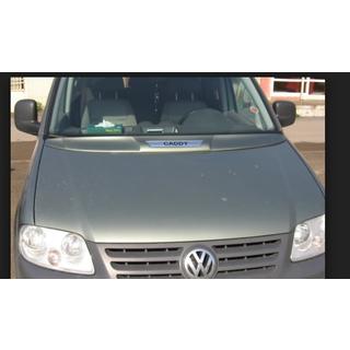 Hood cover (paintable)