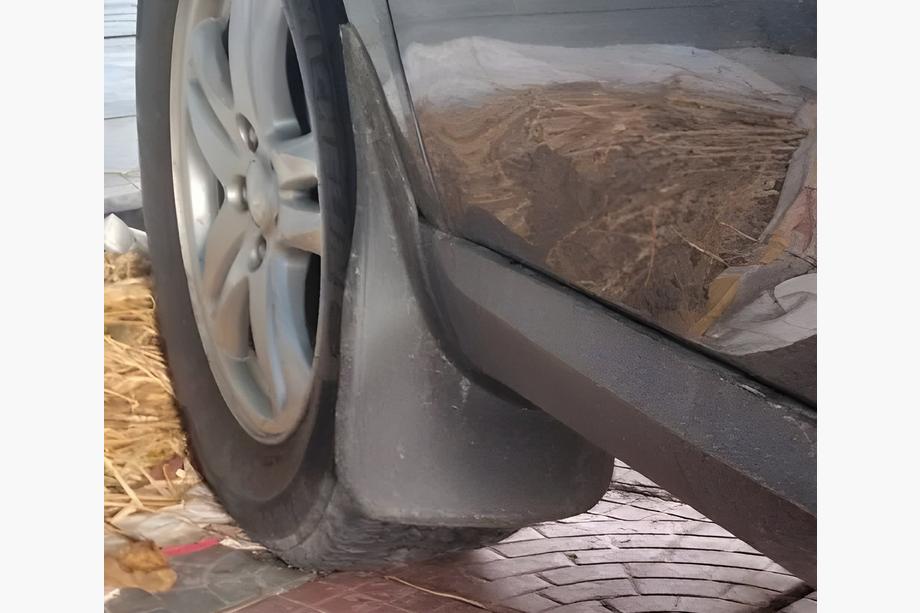 Universal Mud Flaps V2 (2 pcs) Photo 4
