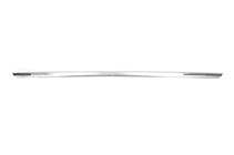 Volkswagen T-Roc 2017-2025 Chrome trim above license plate (OmsaLine, stainless steel) photo 2