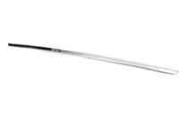 Volkswagen T-Roc 2017-2025 Chrome trim above license plate (OmsaLine, stainless steel) photo 3
