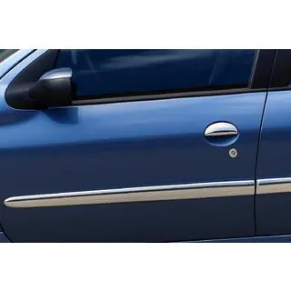 Door Mouldings Stainless Steel (4 pcs)