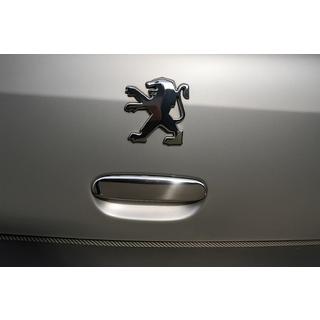 Chrome Tailgate Handle Cover (Stainless Steel)