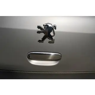 Chrome Tailgate Handle Cover (Stainless Steel)