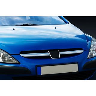 Chrome Grille Covers (2001-2005, 2 pcs, stainless steel)