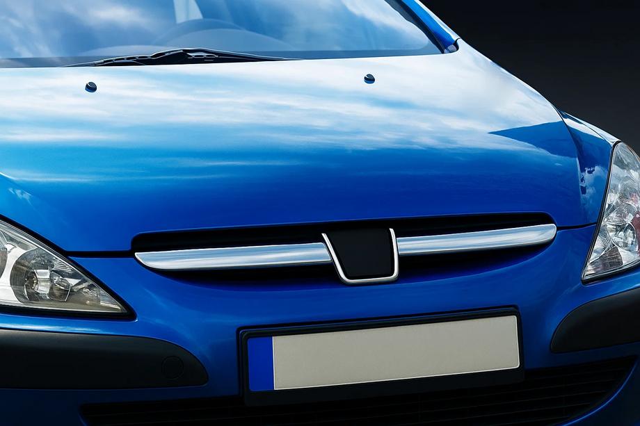 Peugeot 307 2001-2008 Chrome Grille Covers (2001-2005, 2 pcs, stainless steel) Photo 1