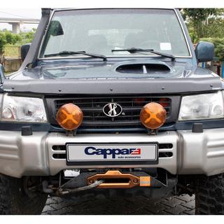 Hood Deflector (EuroCap) photo 2