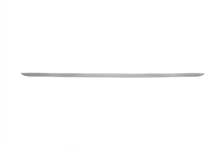 Peugeot 407 2004-2011 Trunk trim stainless steel OmsaLine - Italian Stainless Steel Photo 2