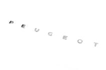 Peugeot Partner Tepee 2008-2018 Peugeot emblem lettering (630mm x 25mm) photo 2