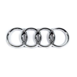 Emblem (275 mm x 95 mm) photo 1
