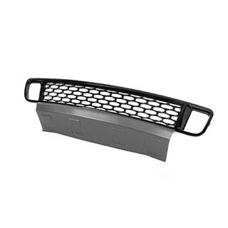 Lower Grille Autobiography Style Type-2 (2010-2013) photo 2