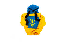 Gear Shift Cover Hoodie (Ukraine) photo 5
