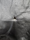 Renault Master 2011-2023 Hood Cover (Leatherette) Clearance photo 2