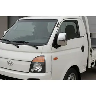 Mirror Covers (2 pcs, Plastic) photo 1