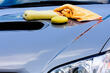 Proper care of the paintwork of the car photo 1