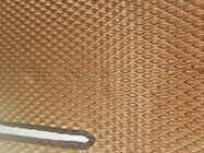 Renault Master 2011-2023 EVA Floor Mats (brick red) SALE photo 3