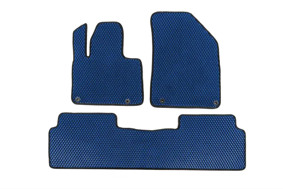 Citroen C-5 2008-2017 EVA Floor Mats (Blue) Image