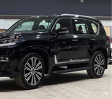 Lexus LX 500d/600 2022- Black Door Moldings F-Sport white+black (4 pcs, ABS) photo 4