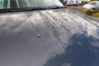 What is a hydrophobic coating and what are its benefits photo 1