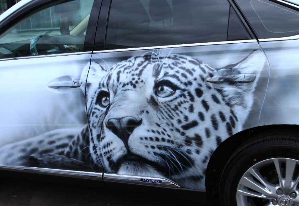 Aerography as a type of car tuning