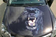 Art on Wheels: Inspiring Car Airbrush Trends photo 2