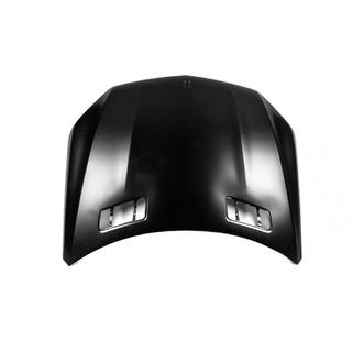 Hood (for GLS, Taiwan, aluminum) photo 2