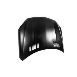 Hood (for GLS, Taiwan, aluminum) photo 1