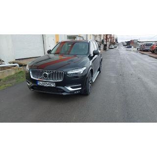 Side Steps Shining (2 pcs, Aluminum) photo 4