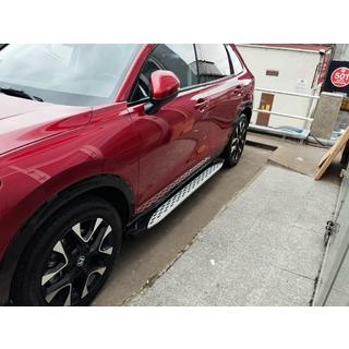 Side Steps Shining (2 pcs, Aluminum) photo 2