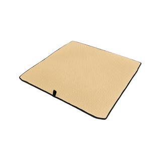 Trunk Mat (EVA, Polyurethane, Beige) SW photo 2