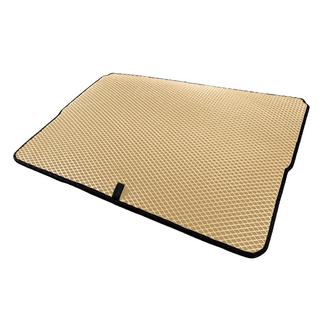 Trunk Mat (EVA, Beige) photo 4