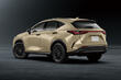 Lexus NX Overtrail: modification for light off-road photo 2